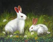 unknow artist Rabbit France oil painting artist